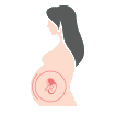 Kehamilan dan Kandungan